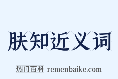 肤知近义词是什么意思的图片